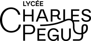 Logo noir